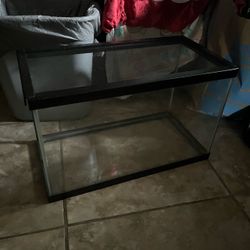 10 gallon tank with screen
