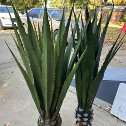 Plantas De Agave Sintéticas $50 Cada Una 