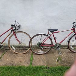 Schwinn Road Bikes (Pair)