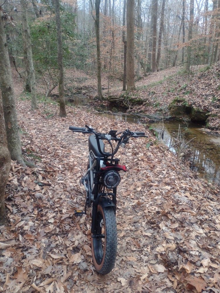 Dual Motor 1,000 Watt E-bike Plus Extra Battery