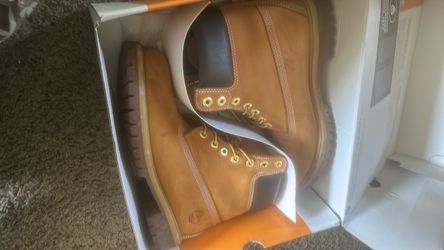 Timberland wheats