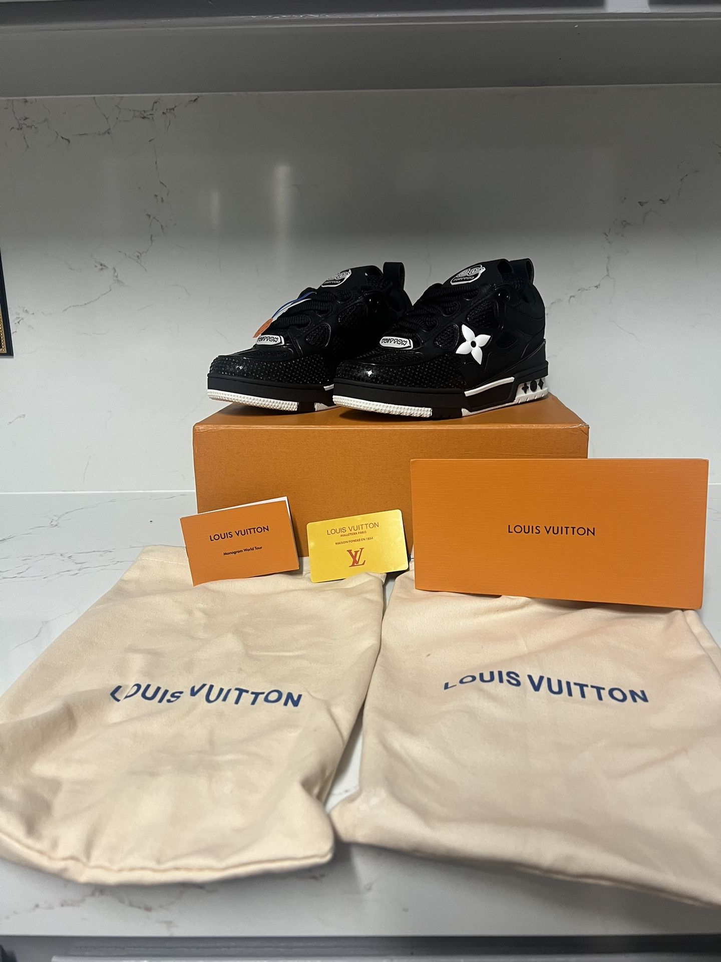 Louis Vuitton Skate Shoes