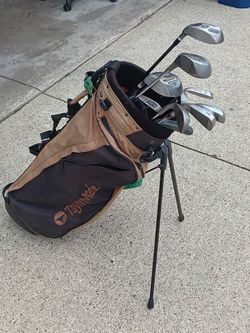 TaylorMade bag and some clubs plus some balls and tees