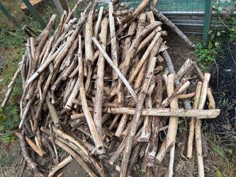 Large Pile of cedar Branches