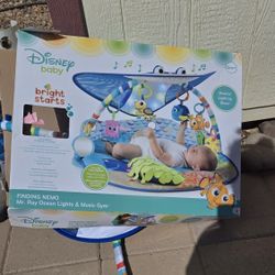 Disney Baby Play Gym