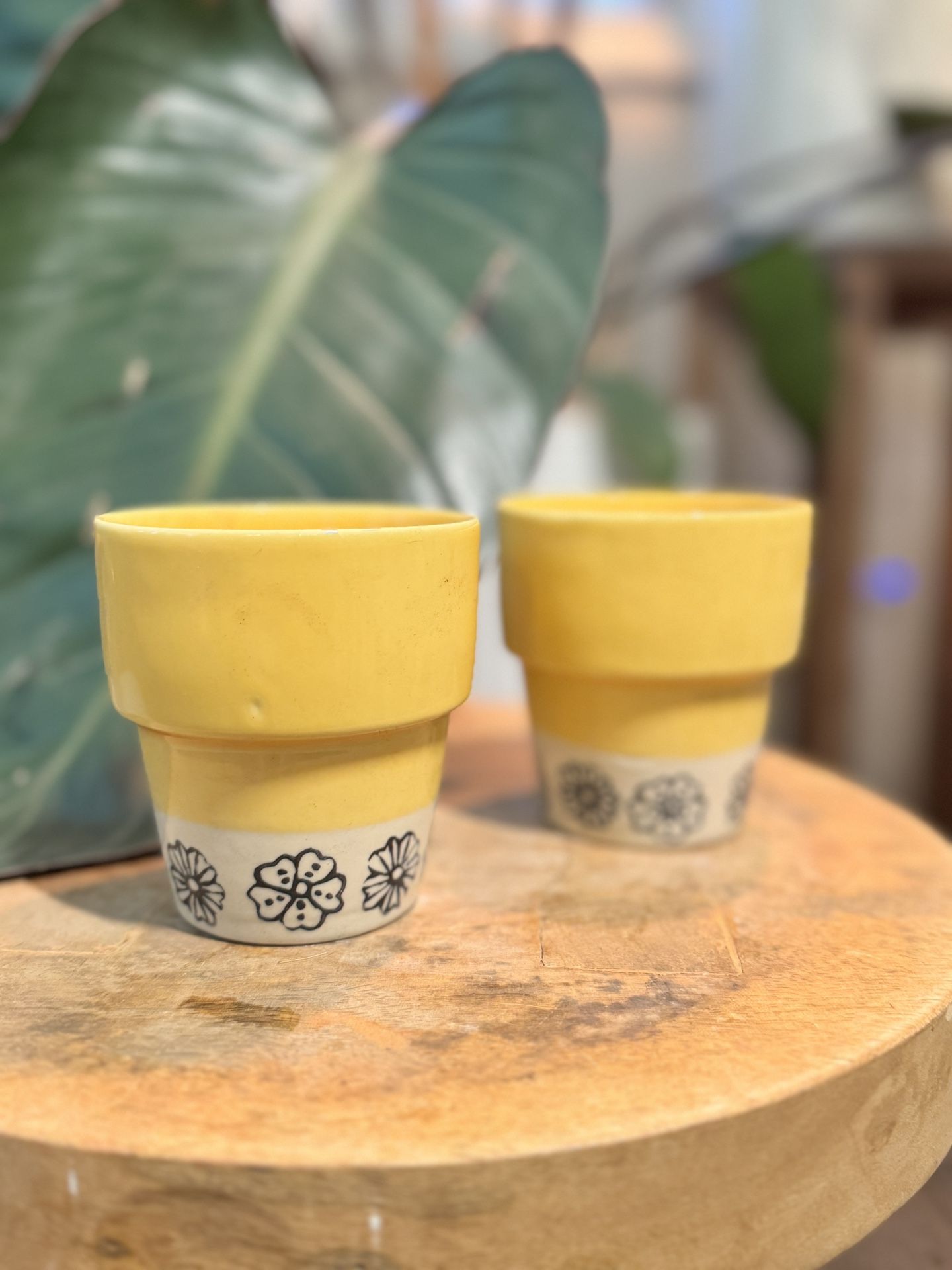 Decorative Glazed Ceramic Flower Pots Small Set Of 2 Indoor Outdoor