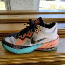 Lebron James Looney Toon Edition Nike