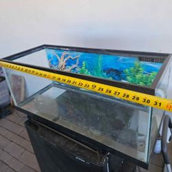 Fish Or Reptiles 33galon  3 Available $75 EACH  