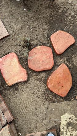 Stepping stone for foot steps