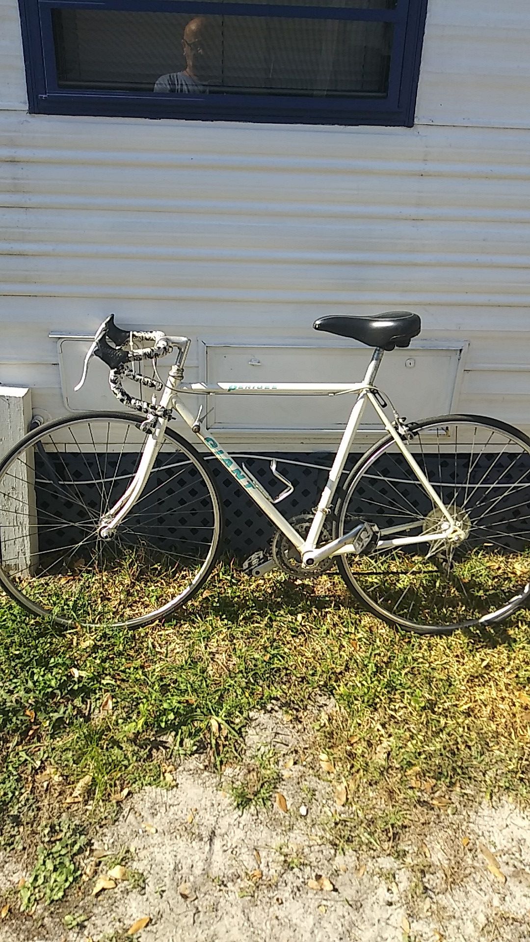 Giant Pedicree touring bike