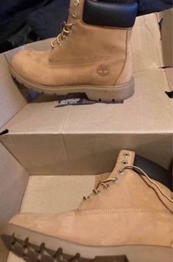 Men’s new timberlands sz 9