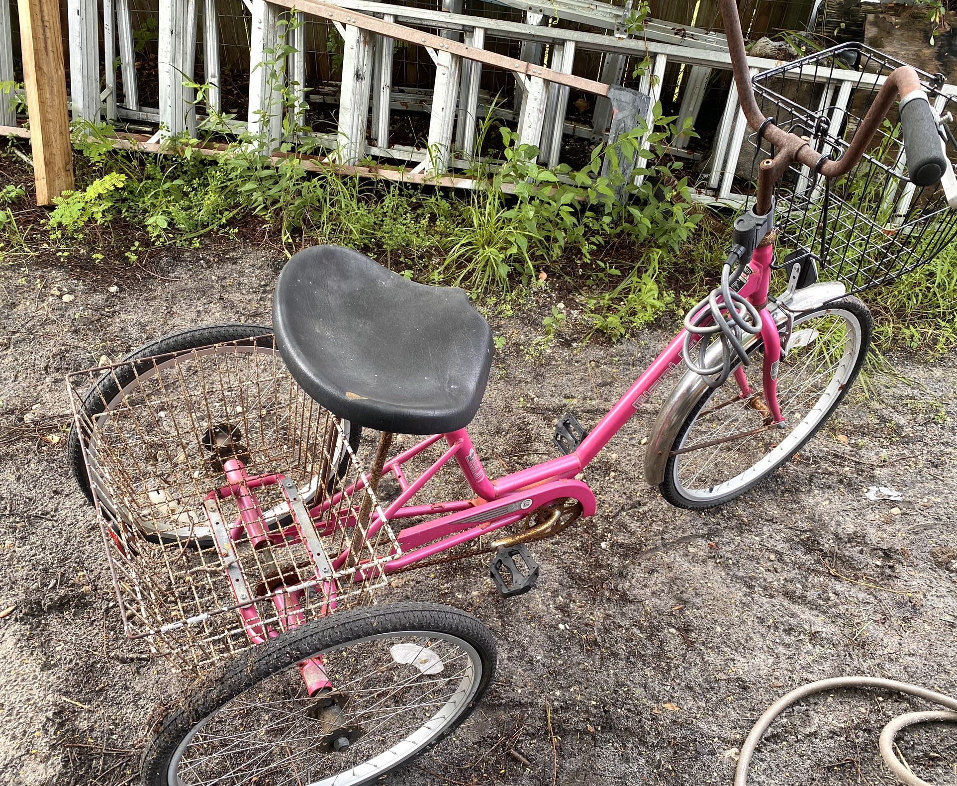Miami sun 3 wheel bike shop