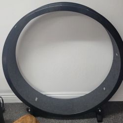 One Fast Cat Excersie Wheel