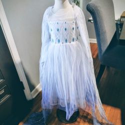 Frozen  girl  Halloween Costume