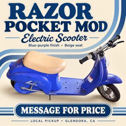 Pocket Mod Electric Scooter + Charger – Runs & Holds Charge – $125