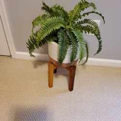 A nice Arrangement With Nice Stand .      Size  .21"×  7" .  