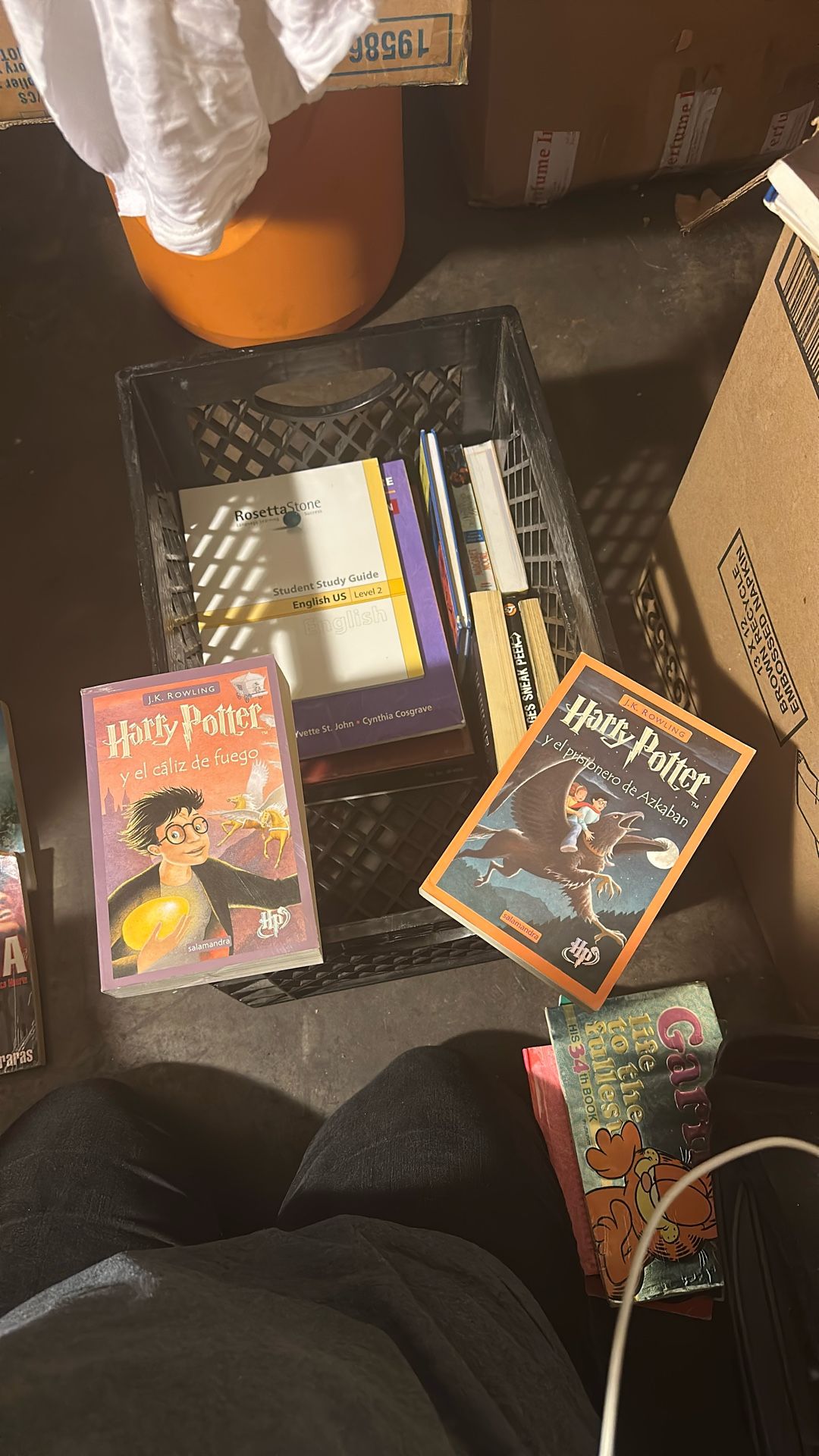Harry Potter Spanish Books 