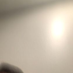 Xbox One And Nintendo Switch  Selling