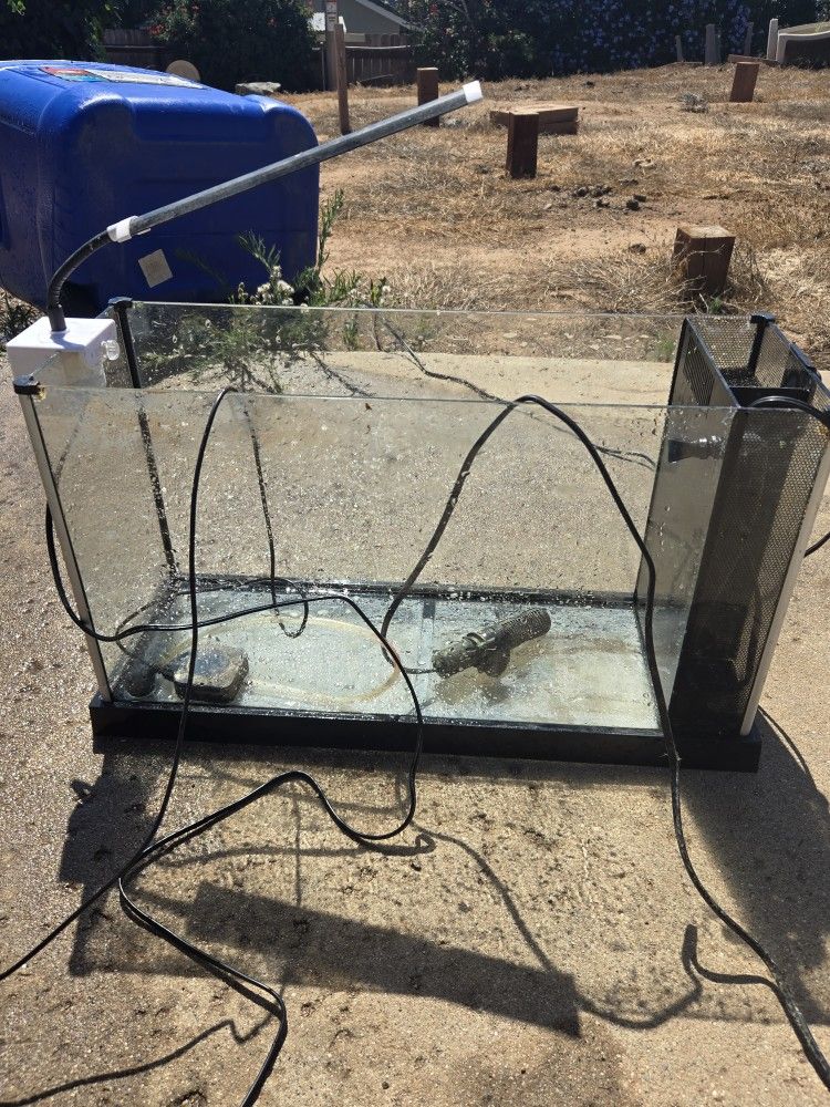 Fish Tank