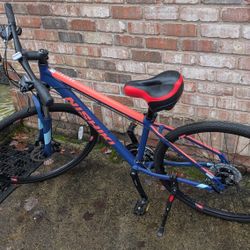 Nishiki Hybrid Anasazi