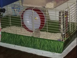 Cage