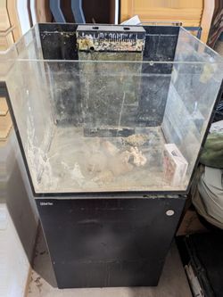 Salt Water aquarium (as is)