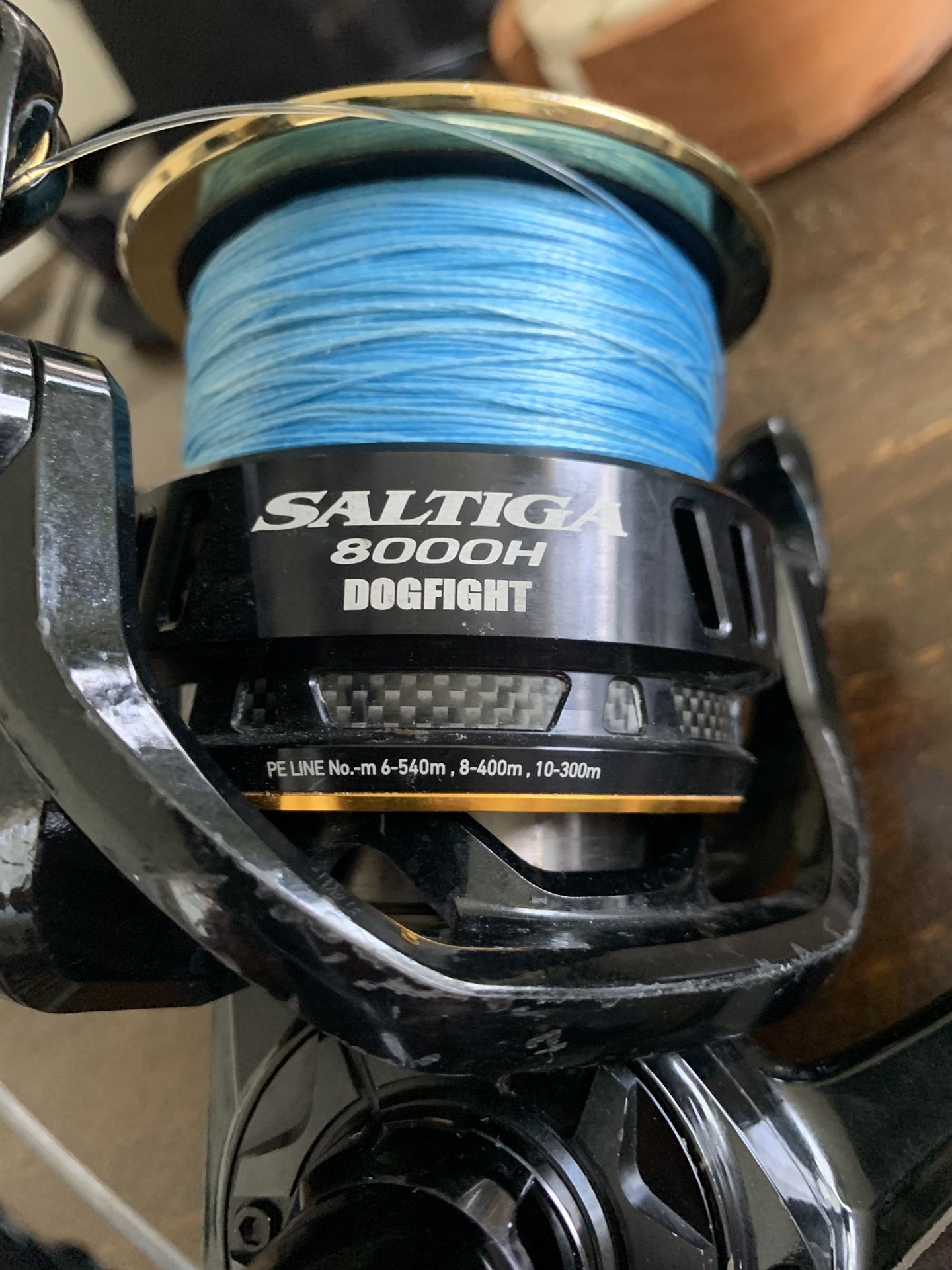 Daiwa Saltiga Dogfight