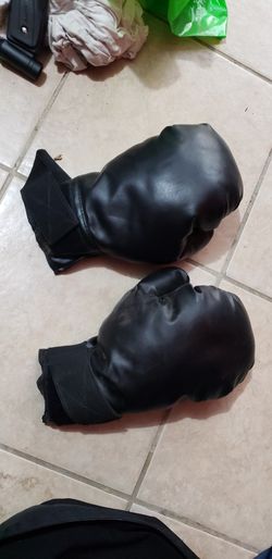 Boxing Gloves Standard Size