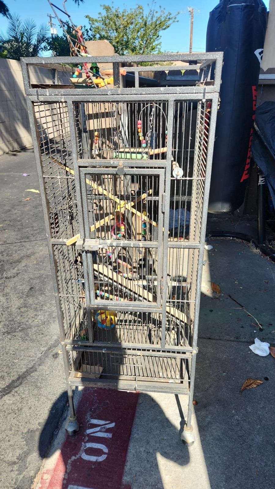 Sturdy Bird Cage