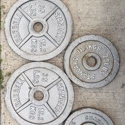 Weight Gym Plates (190 Lbs)