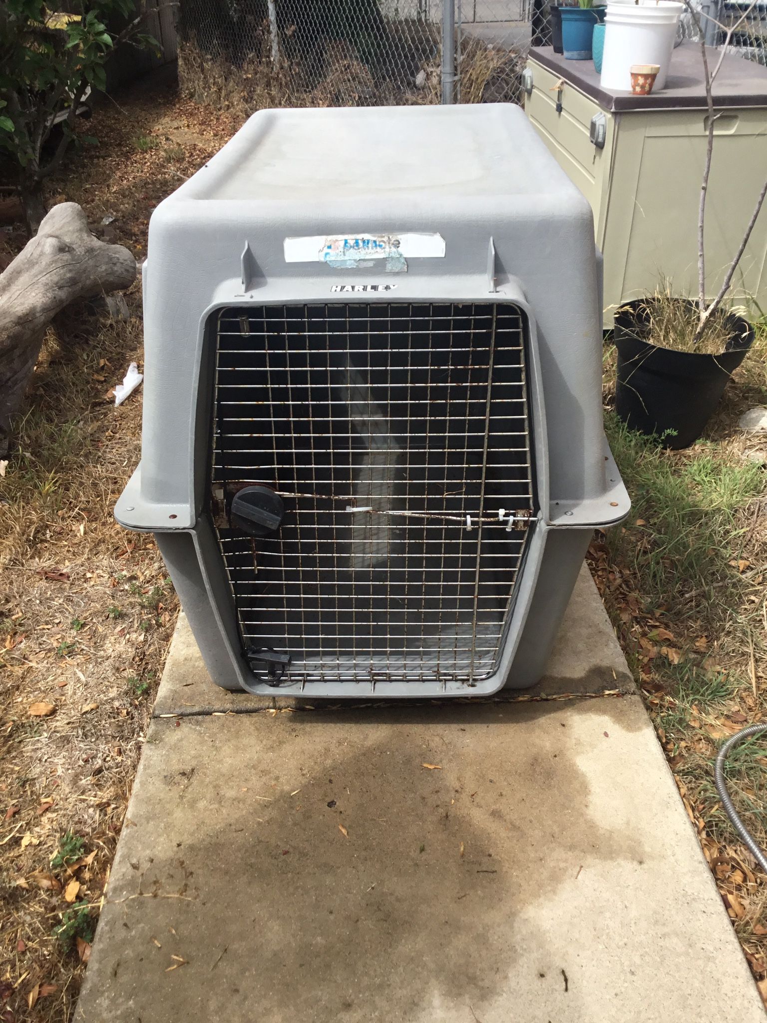 Giant Dog Kennel Large Enough For A Mastiff