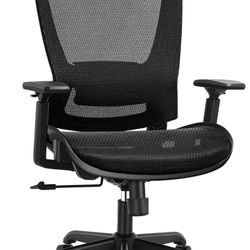 Brand New Ergonomic Office Chair (Still In Box)