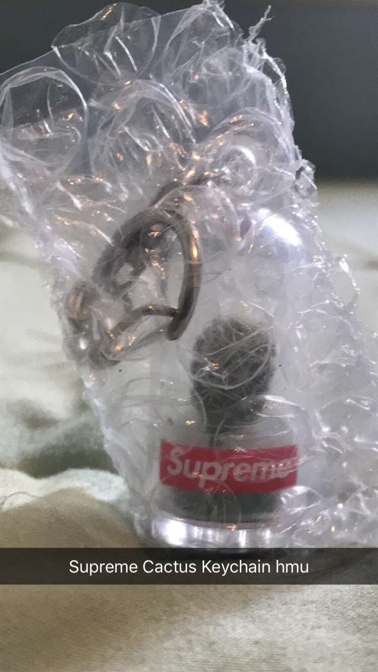 SUPREME CACTUS KEY CHAIN