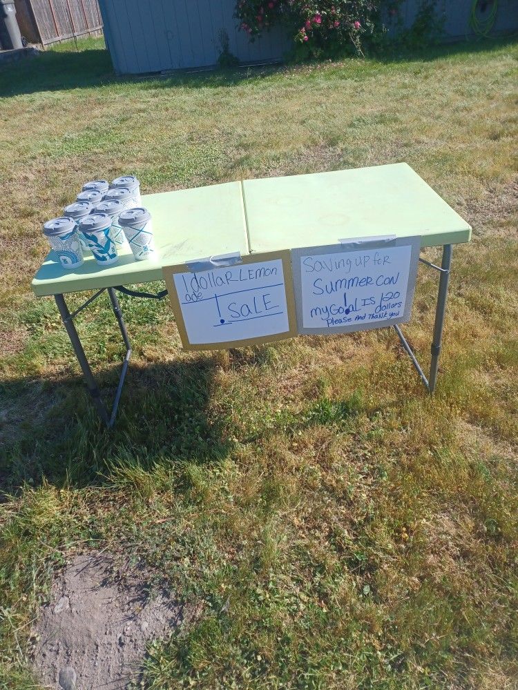 1.00 DOLLAR FOR LEMONADE PACIFIC WA 98047 FRESH COLD  LEMONADE  Come Get It While It's Cold 