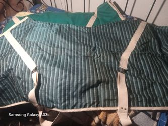 Horse blanket/cover