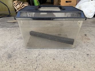 Free cricket/reptile tote