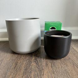 Miracle Grow Plant Food Pots