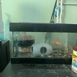 Small fish tank with air Filter