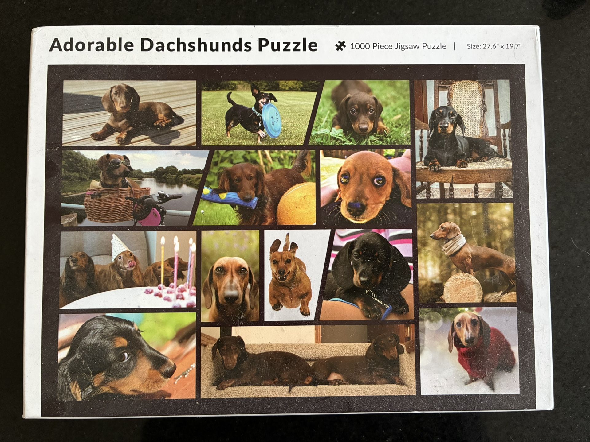 1000 Piece Puzzles