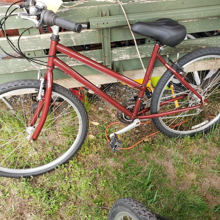 Ladies Bike