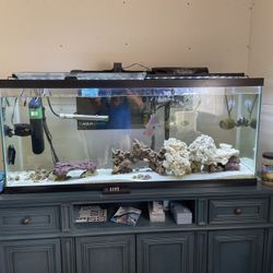 55 Gallon Aquarium 