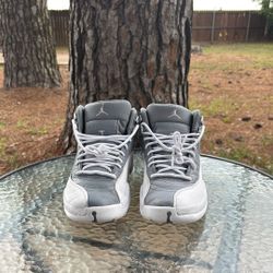 Stealth Jordan 12s