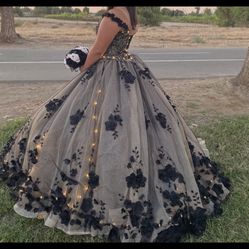 Gown for Quinceañera/ Prom 