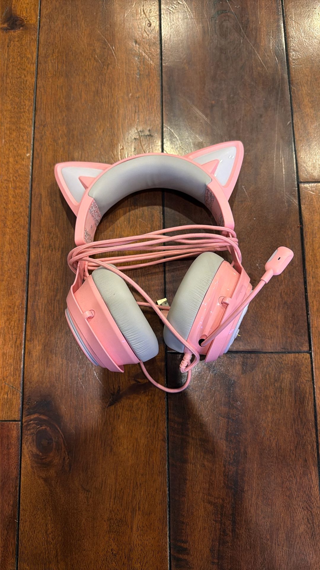 Cat Headphones