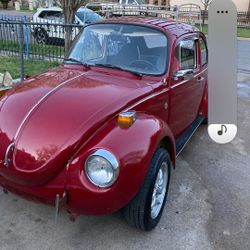1973 Volkswagen 1600