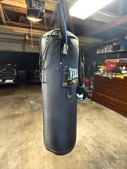 Everlast Punching Bag
