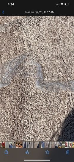 Carpet 12x20