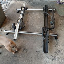 Bike rat mini coop