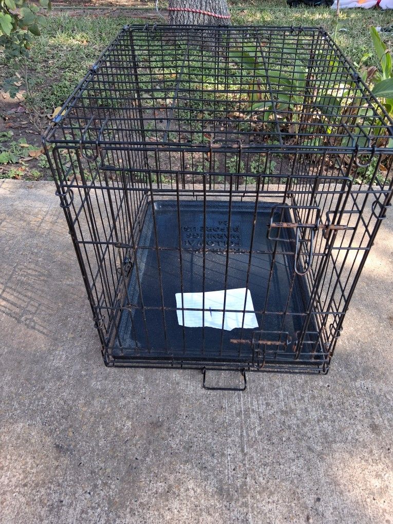 Dog Cage