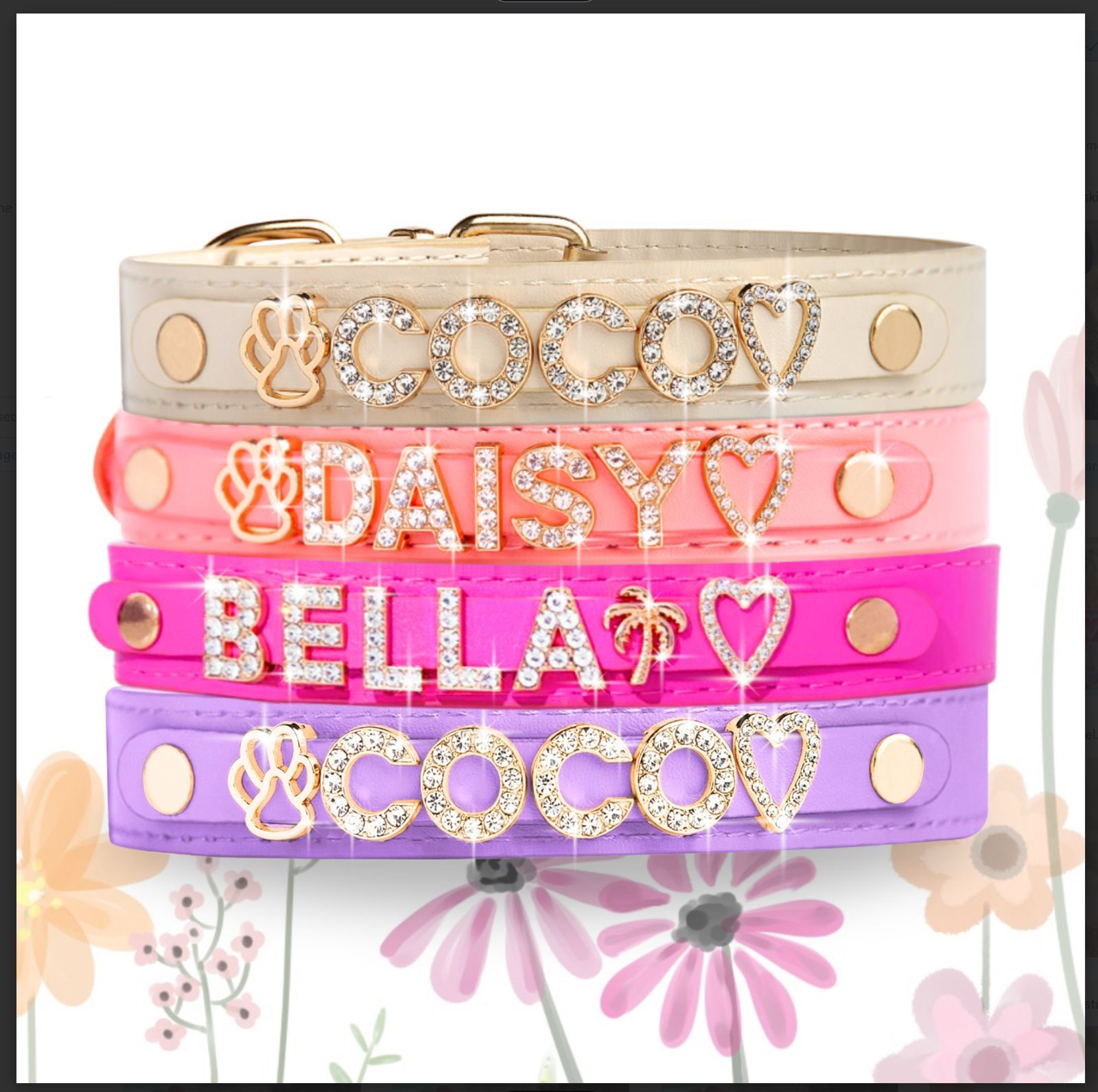 Custom Dog Collars with Studded Jewelry